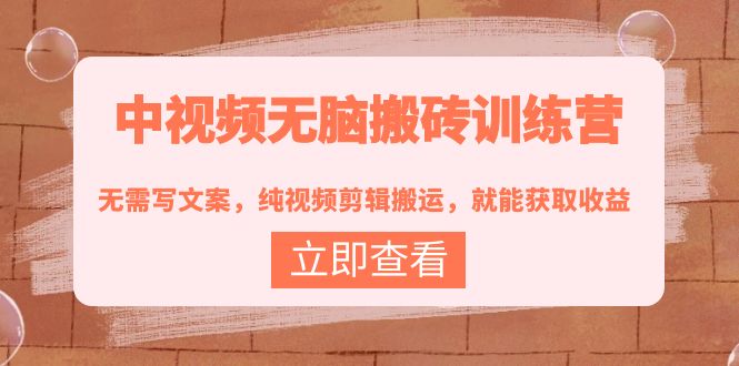 （3878期）中视频无脑搬砖训练营：无需写文案，纯视频剪辑搬运，就能获取收益！ - 副业心选-副业心选