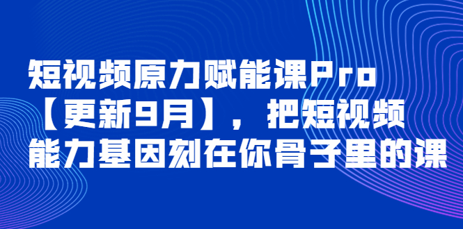 （3888期）短视频原力赋能课Pro【更新9月】，把短视频能力基因刻在你骨子里的课 - 副业心选-副业心选