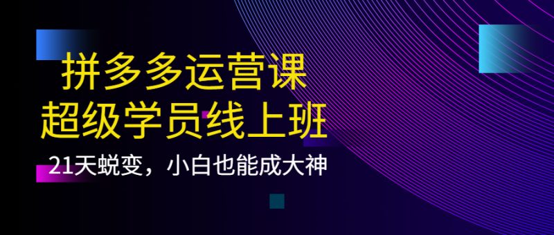 （3929期）拼多多运营课：超级学员线上班，21天蜕变，小白也能成大神-副业心选