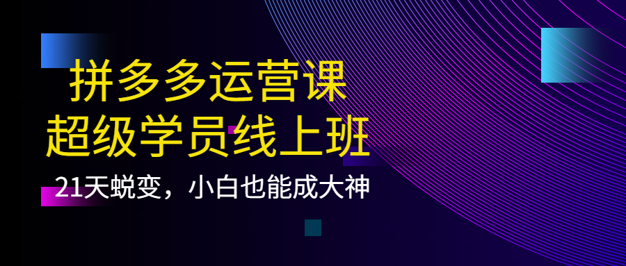 （3929期）拼多多运营课：超级学员线上班，21天蜕变，小白也能成大神 - 副业心选-副业心选