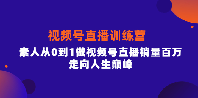 （3927期）行动派·视频号直播训练营，素人从0到1做视频号直播销量百万，走向人生巅峰 - 副业心选-副业心选