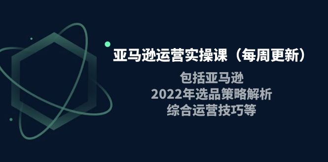 （3955期）亚马逊运营实操课（每周更新）包括亚马逊2022选品策略解析，综合运营技巧等-副业心选