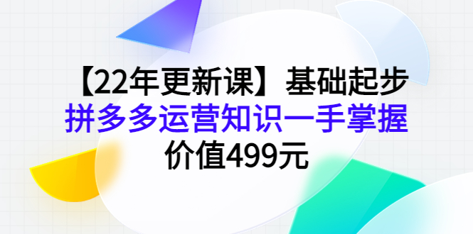 （3963期）【22年更新课】基础起步，拼多多运营知识一手掌握，价值499元-副业心选
