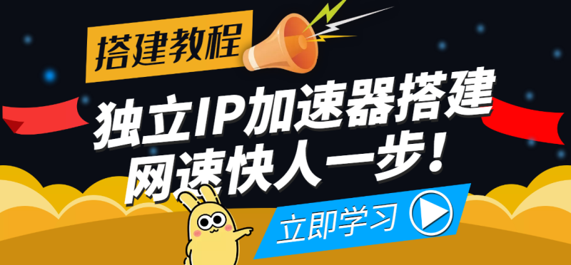（3996期）【独立IP搭建教程】SOCK5-IP搭建制作详细流程，散人工作室必备技能-副业心选
