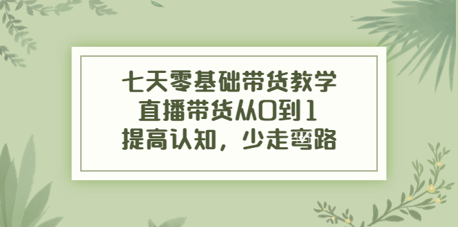 （3986期）七天零基础带货教学，直播带货从0到1，提高认知，少走弯路-副业心选