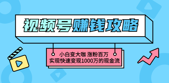 （3020期）玩转微信视频号赚钱：小白变大咖 涨粉百万 实现快速变现1000万的现金流 - 副业心选-副业心选