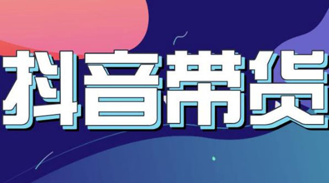 （3133期）抖音直播带货入门必学教程，教快速上手抖音直播带货（13节课）-副业心选