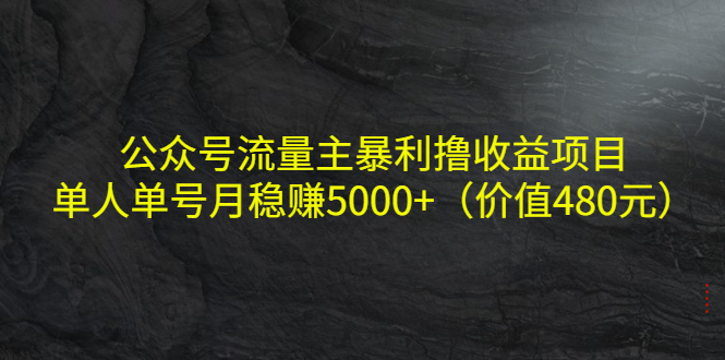 （4011期）公众号流量主暴利撸收益项目，单人单号月稳赚5000+（价值480元） - 副业心选-副业心选