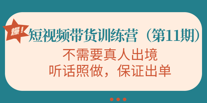 （4015期）短视频带货训练营（第11期），不需要真人出境，听话照做，保证出单 - 副业心选-副业心选