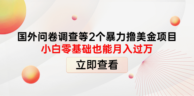 （4062期）国外问卷调查等2个暴力撸美金项目，小白零基础也能月入过万 - 副业心选-副业心选