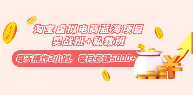（4056期）淘宝虚拟电商蓝海项目实战班+私教班：每天操作2小时，每月多赚5000+-副业心选