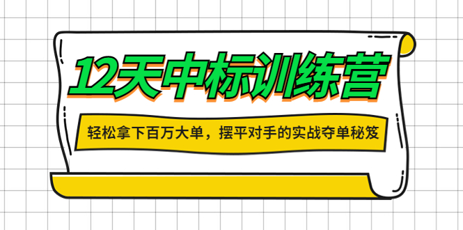 （4116期）12天中标训练营：轻松拿下百万大单，摆平对手的实战夺单秘笈！-副业心选