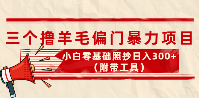 （4110期）外面卖998的三个撸羊毛偏门暴力项目，小白零基础照抄日入300+（附带工具） - 副业心选-副业心选