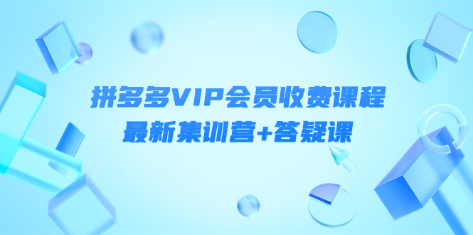 （4127期）某社群·拼多多VIP会员收费课程，最新集训营+答疑课-价值3299元 - 副业心选-副业心选