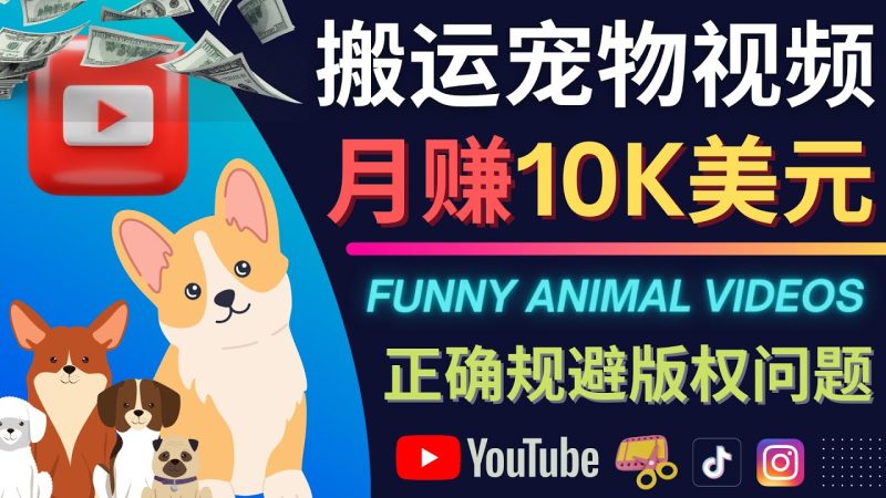 （4221期）搬运TIKTOK视频到YouTube，并进行二次创作，月赚1万美元以上-副业心选
