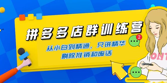 （4318期）拼多多店群训练营：从小白到精通，只讲精华，剔除推销和废话 - 副业心选-副业心选