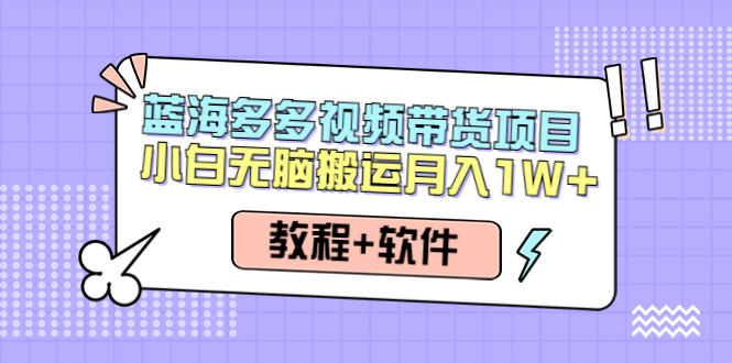 （4343期）人人都能操作的蓝海多多视频带货项目 小白无脑搬运月入10000+（教程+软件） - 副业心选-副业心选