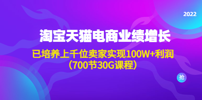 （4409期）淘系天猫电商业绩增长：已培养上千位卖家实现100W+利润（700节30G课程） - 副业心选-副业心选