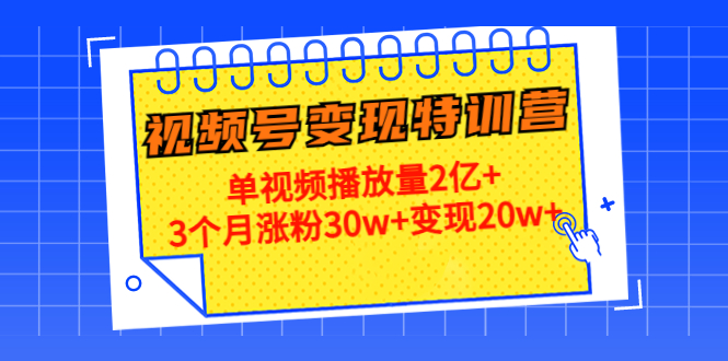 （4455期）20天视频号变现特训营：单视频播放量2亿+3个月涨粉30w+变现20w+ - 副业心选-副业心选