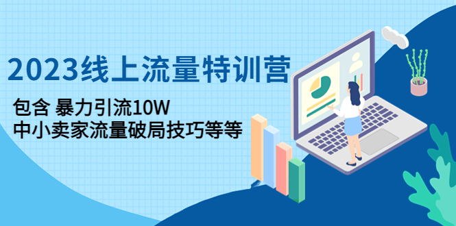 （4567期）2023线上流量特训营：包含暴力引流10W+中小卖家流量破局技巧等等-副业心选