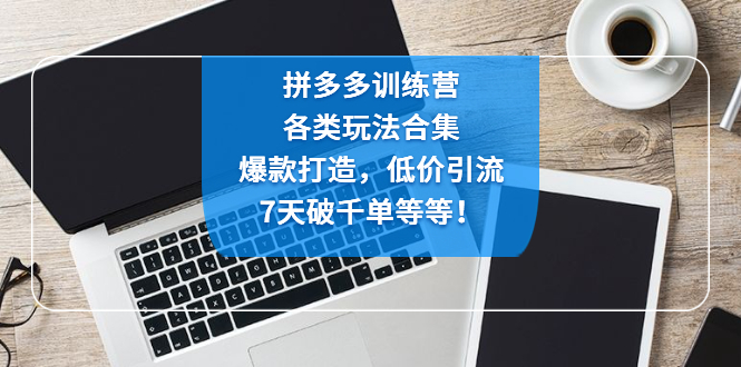 （4693期）拼多多训练营：各玩法合集，爆款打造，低价引流，7天破千单等等！-副业心选