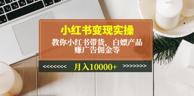 （4780期）小红书变现实操：教你小红书带货，白嫖产品，赚广告佣金等，月入10000+ - 副业心选-副业心选