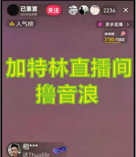 图片[2]-（4791期）2023抖音加特林直播间搭建技术，0粉开播-暴力撸音浪-日入800+【素材+教程】 - 副业心选-副业心选