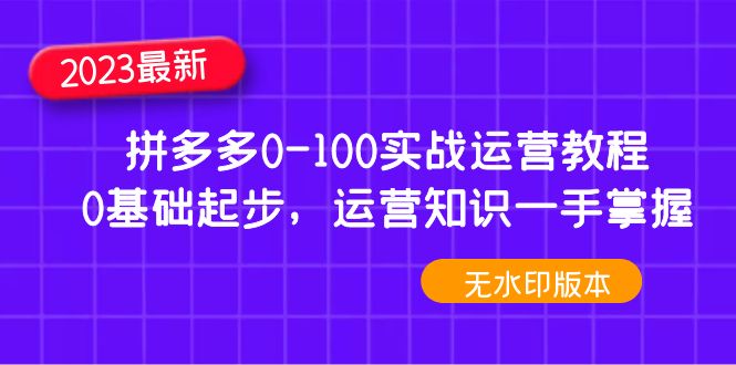 （4835期）2023拼多多0-100实战运营教程，0基础起步，运营知识一手掌握（无水印） - 副业心选-副业心选