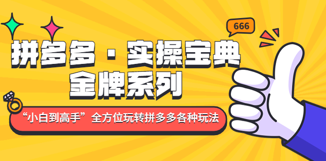 （4934期）拼多多·实操宝典：金牌系列“小白到高手”带你全方位玩转拼多多各种玩法 - 副业心选-副业心选