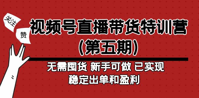 （4945期）视频号直播带货特训营（第五期）无需囤货 新手可做 已实现稳定出单和盈利-副业心选