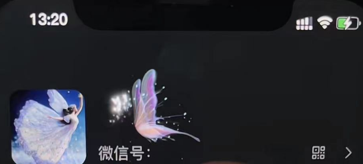 图片[3]-（4980期）微信动态昵称设置方法，可抖音直播引流，日赚上百【详细视频教程+素材】 - 副业心选-副业心选