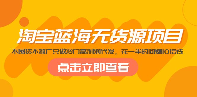 （5062期）淘宝蓝海无货源项目，不囤货不推广只做冷门高利润代发，花一半时间赚10倍钱-副业心选