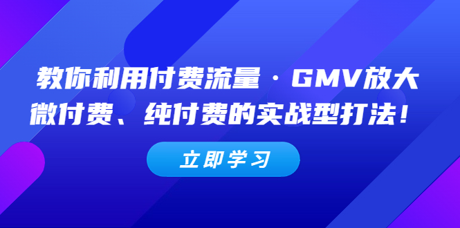 （5106期）教你利用付费流量·GMV放大，微付费、纯付费的实战型打法！ - 副业心选-副业心选
