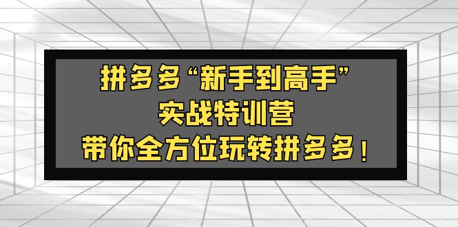 （5173期）拼多多“新手到高手”实战特训营：带你全方位玩转拼多多！ - 副业心选-副业心选