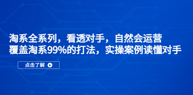 （5233期）淘系全系列，看透对手，自然会运营，覆盖淘系99%·打法，实操案例读懂对手 - 副业心选-副业心选
