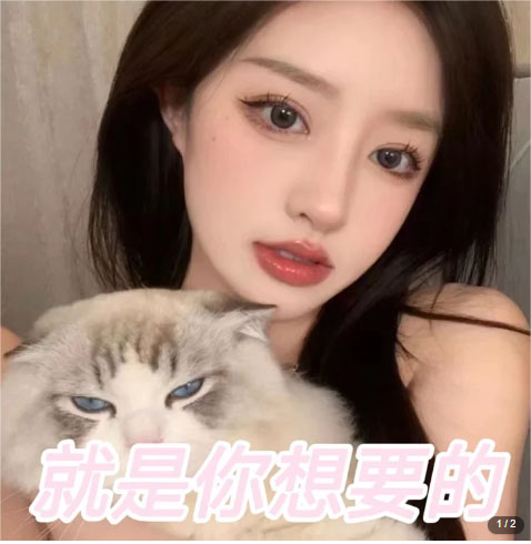 图片[2]-（5273期）微信交友变现项目，吸引全网LSP男粉精准变现，小白也能轻松上手，日入500+ - 副业心选-副业心选