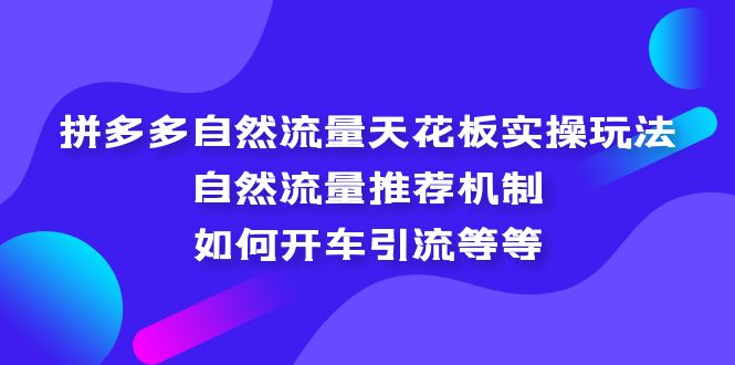 （5327期）拼多多自然流量天花板实操玩法：自然流量推荐机制，如何开车引流等等-副业心选