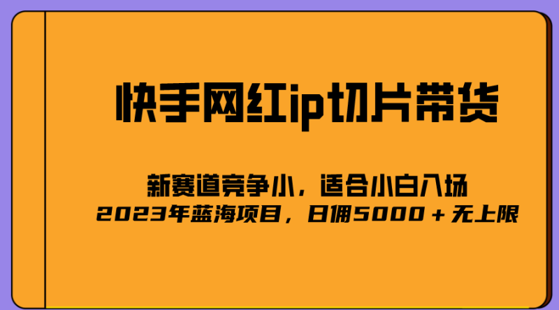 （5346期）2023爆火的快手网红IP切片，号称日佣5000＋的蓝海项目，二驴的独家授权-副业心选