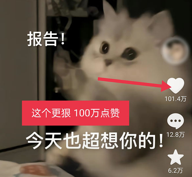 图片[4]-（5498期）黑科技纯原创可爱猫咪图片，全网精准引流，实操5个VX号被加频繁 - 副业心选-副业心选