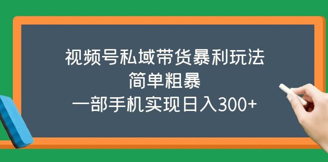 （5544期）视频号私域带货暴利玩法，简单粗暴，一部手机实现日入300+-副业心选