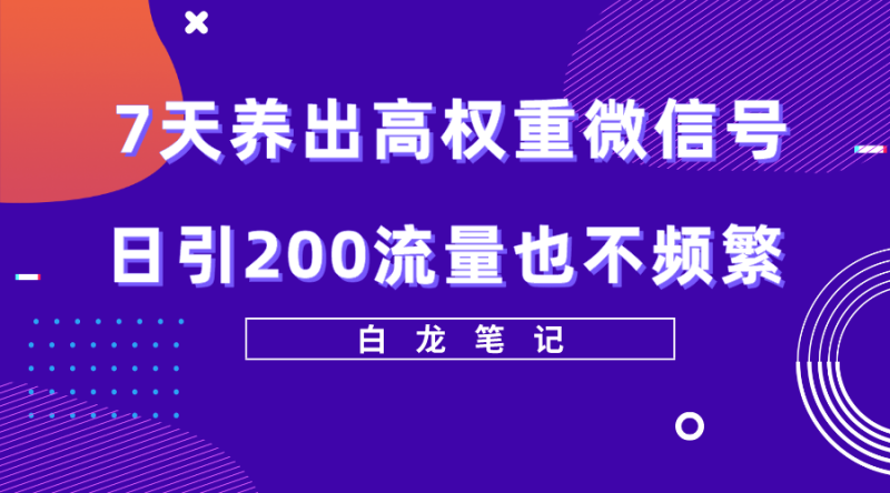 （5630期）7天养出高权重微信号，日引200流量也不频繁，方法价值3680元-副业心选