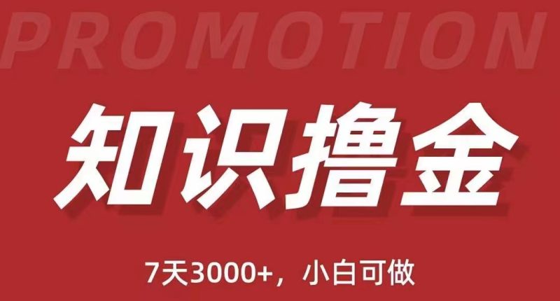 （5629期）抖音知识撸金项目：简单粗暴日入1000+执行力强当天见收益(教程+资料)-副业心选