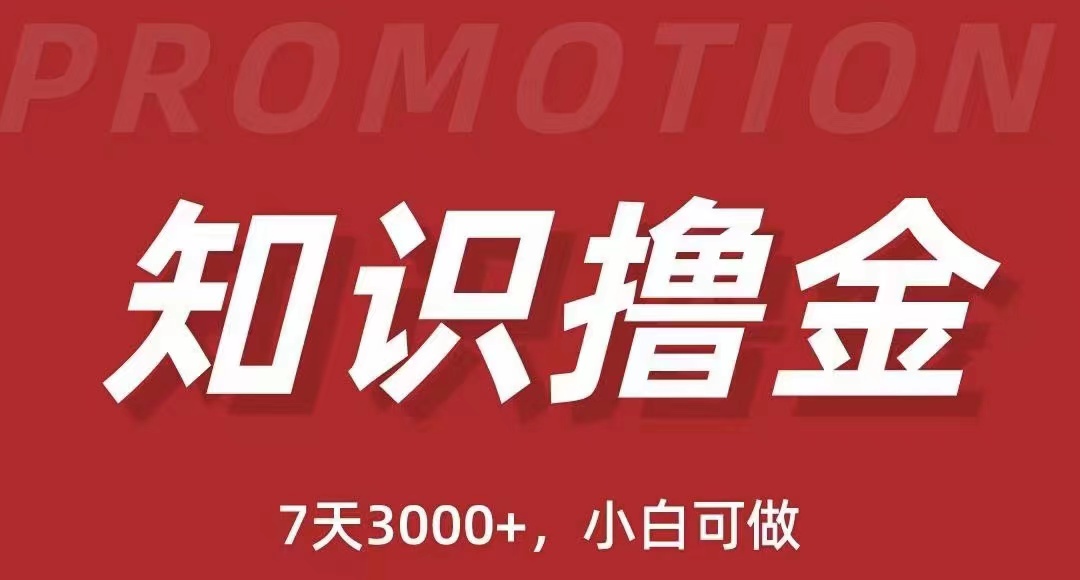 （5629期）抖音知识撸金项目：简单粗暴日入1000+执行力强当天见收益(教程+资料) - 副业心选-副业心选