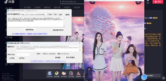图片[2]-（5907期）最新电脑版抖音/快手/B站直播源获取+直播间实时录制+直播转播【软件+教程】 - 副业心选-副业心选