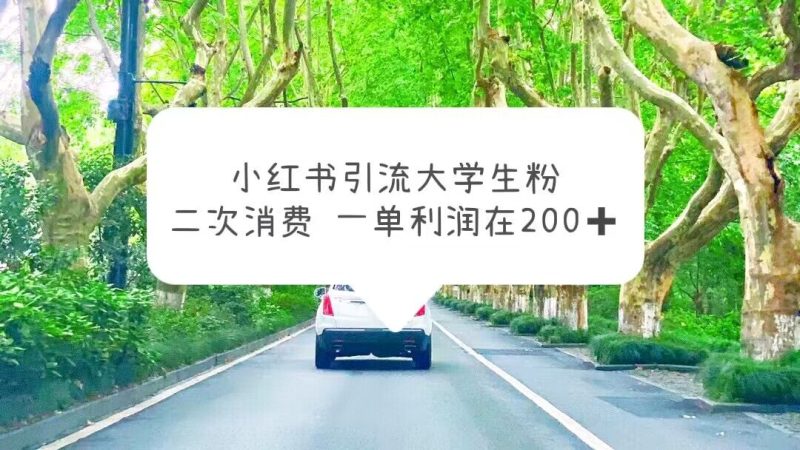 （5914期）小红书引流大学生粉，变现项目，一单利润在200+（教程+资源）-副业心选