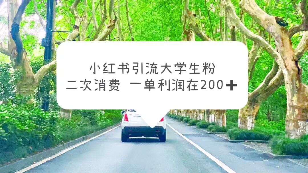 （5914期）小红书引流大学生粉，变现项目，一单利润在200+（教程+资源） - 副业心选-副业心选