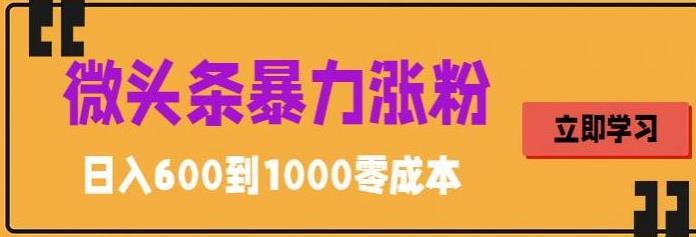 （5950期）微头条暴力涨粉技巧搬运文案就能涨几万粉丝，简单0成本，日赚600 - 副业心选-副业心选