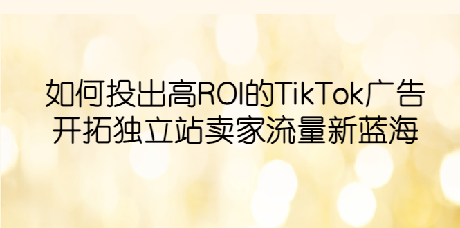 （6102期）如何投出高ROI·TikTok广告，开拓独立站卖家流量新蓝海 - 副业心选-副业心选
