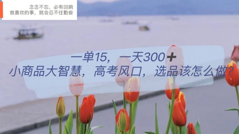 （6077期）一单15，一天300+，小商品大智慧，高考风口，选品该怎么布局-副业心选