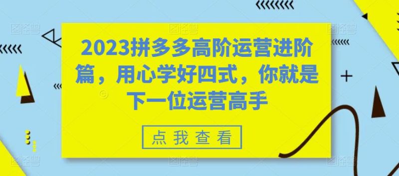 （6193期）2023拼多多高阶运营进阶篇，用心学好四式，你就是下一位运营高手-副业心选